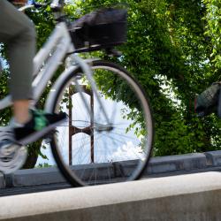 Pisa by bike