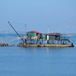 Retone a Bocca d'Arno (R. Cardini)