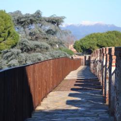 Mura (Mura di Pisa)