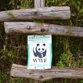Oasi WWF Tirrenia (L. Corevi, Comune di Pisa)